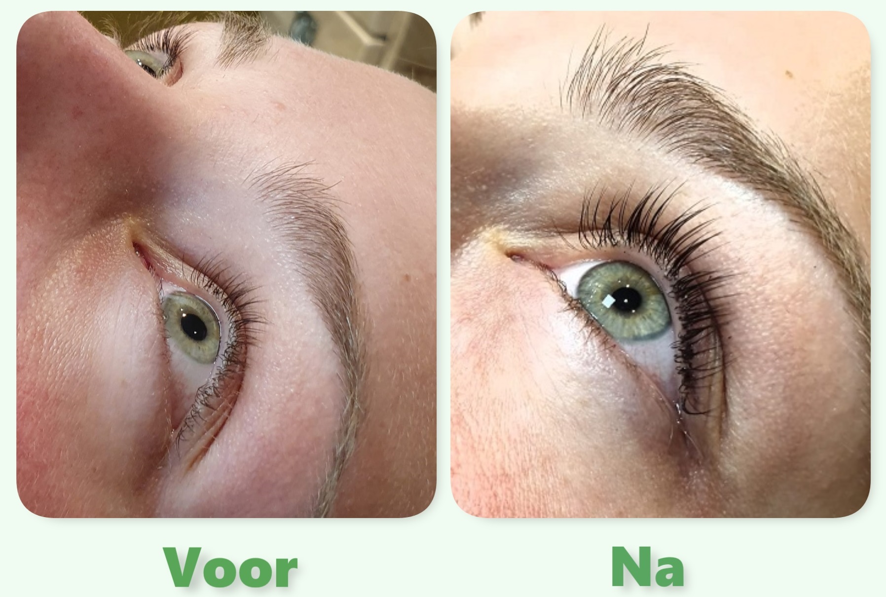 gek probleem koper Lash Volume Lift. Een nieuwe techniek voor lange en volle wimpers! - Rozalon